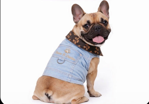 Louie Pawton Dog Vest